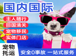 牡丹江海浪机场物流国际宠物托运 【国